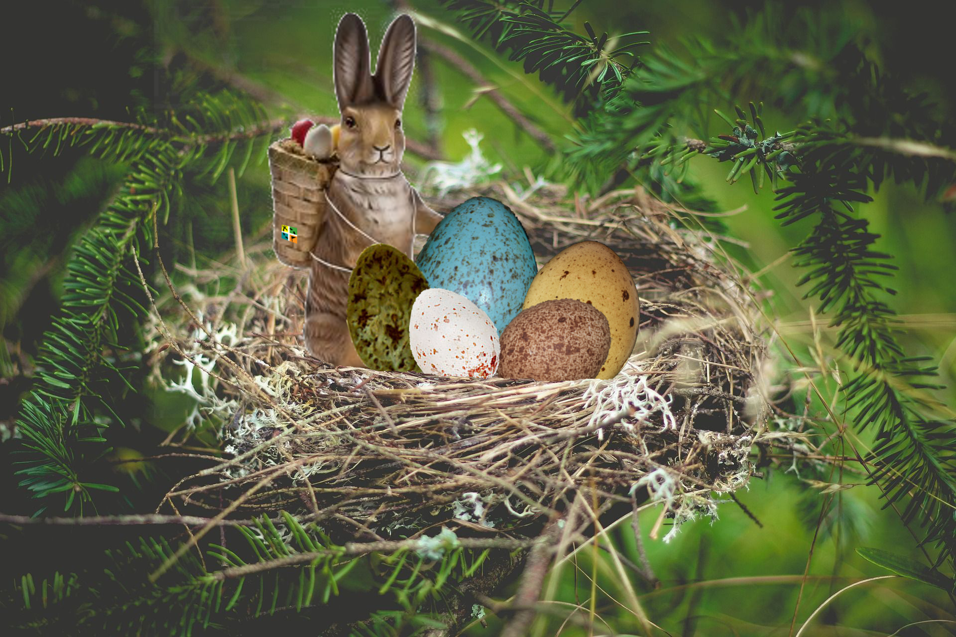 Quälgeistsicheres Osternest